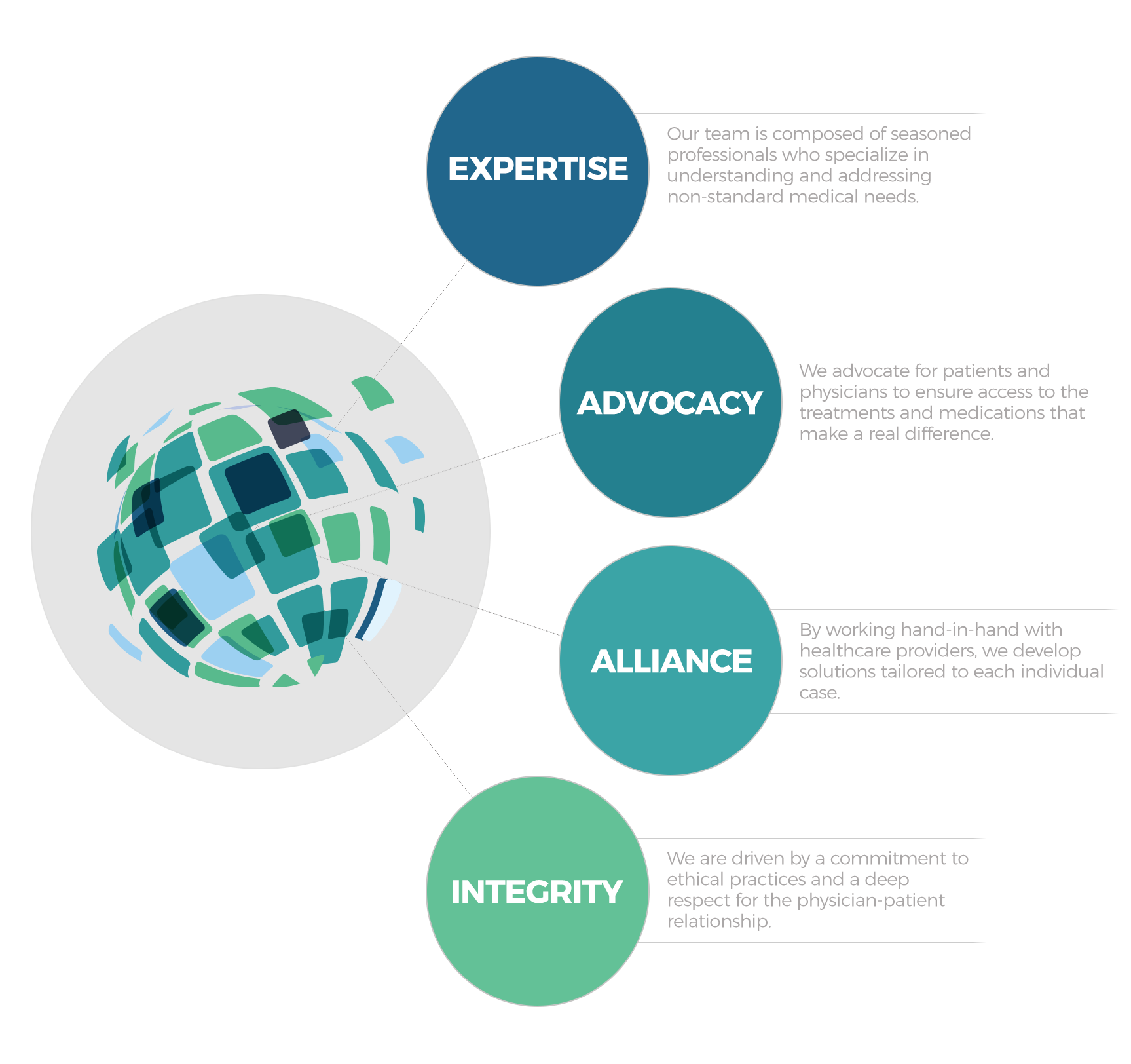 CSI Shipping Infographic